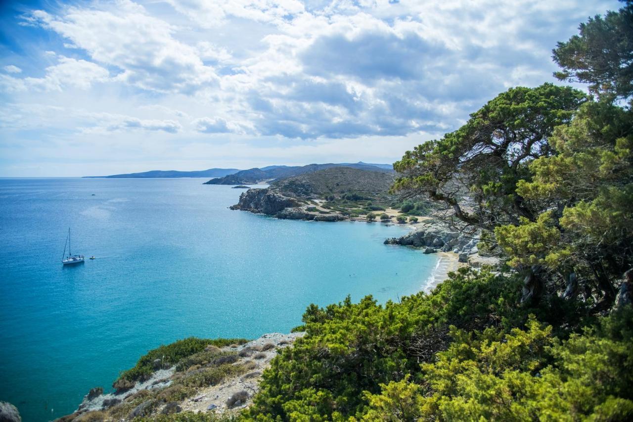 Olive Coast Suites Palékastro Eksteriør bilde
