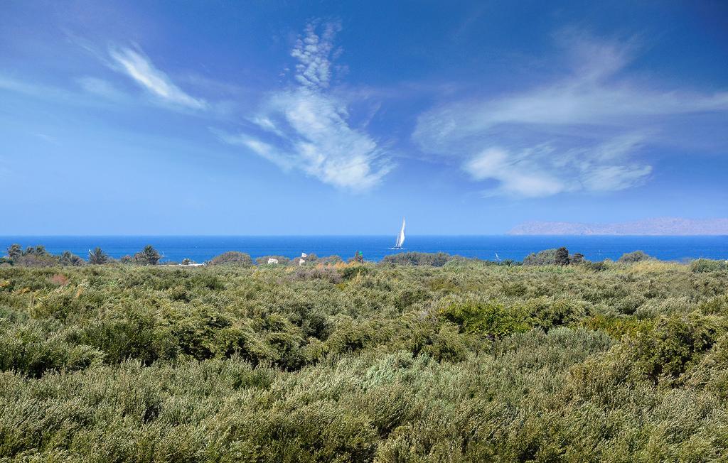 Olive Coast Suites Palékastro Eksteriør bilde